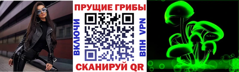 наркотики  Шлиссельбург  Псилоцибиновые грибы Magic Shrooms 